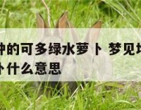梦见地理种的可多绿水萝卜 梦见地理种的可多绿水萝卜什么意思