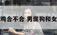 男属狗女属鸡合不合 男属狗和女属鸡合不合