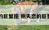 刚失恋的巨蟹座 刚失恋的巨蟹座女生
