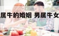 男属牛和女属牛的婚姻 男属牛女属牛的婚姻合婚吗好吗