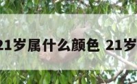 现在21岁属什么颜色 21岁,属啥