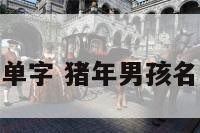 猪年男孩名字单字 猪年男孩名字单字好不好