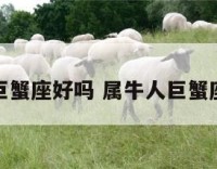 属牛巨蟹座好吗 属牛人巨蟹座好吗