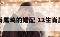 十二生肖属鸡的婚配 12生肖属鸡配对