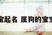 属狗的小宝宝起名 属狗的宝宝好听的名字