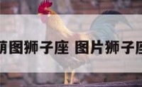 萌图狮子座 图片狮子座