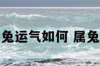 76属兔运气如何 属兔76年