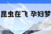 孕妇梦见一只昆虫在飞 孕妇梦见一只昆虫在飞动