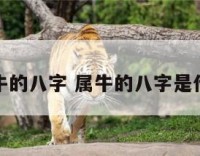 属牛的八字 属牛的八字是什么