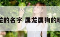 属狗姓龙的名字 属龙属狗的明星夫妻