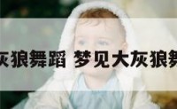 梦见的大灰狼舞蹈 梦见大灰狼舞蹈幼儿版