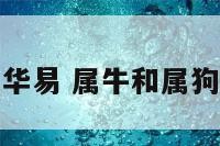 属牛和属狗华易 属牛和属狗的合不合适