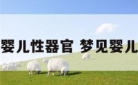 梦见婴儿性器官 梦见婴儿阴部