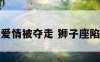 狮子座爱情被夺走 狮子座陷入爱情