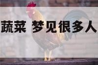 梦见很多人抢蔬菜 梦见很多人抢蔬菜什么预兆