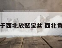 厨房位于西北放聚宝盆 西北角放厨房