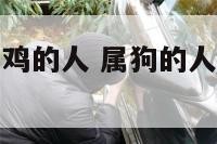 属狗的人跟属鸡的人 属狗的人跟属鸡的人可以在一起吗