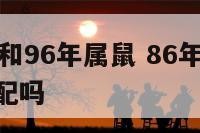 86年属虎和96年属鼠 86年属虎和96年属鼠的配吗