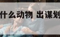 出谋划策形容什么动物 出谋划策形容什么动物生肖