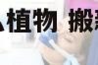 搬新家一般买什么植物 搬新家什么植物好又吉利