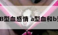 A型血和B型血感情 a型血和b型血恋爱