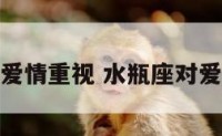 水瓶座对爱情重视 水瓶座对爱情的观念