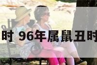 96年属鼠丑时 96年属鼠丑时出生的男孩