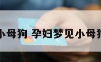 孕妇梦见小母狗 孕妇梦见小母狗是胎梦吗