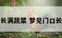 梦见门口长满蔬菜 梦见门口长满蔬菜苗