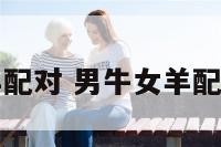 男牛女羊配对 男牛女羊配对怎么样