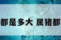 属猪的都是多大 属猪都有多大