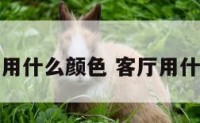 客厅光线好用什么颜色 客厅用什么光比较好
