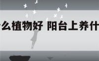 阳台上养什么植物好 阳台上养什么植物好看又好养