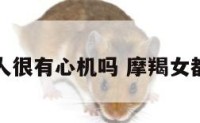 摩羯座女人很有心机吗 摩羯女都有心机吗