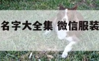 微信服装群名字大全集 微信服装群名字大全集霸气