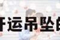 珠映犀亥开运吊坠的简单介绍