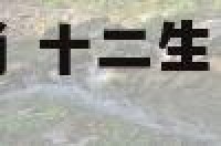 十二生肖里的水肖 十二生肖中水肖是什么生肖