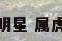 属虎天蝎座男明星 属虎天蝎座的名人