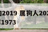 37岁属狗2019 属狗人2021年全年运势详解1973