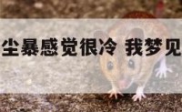 做梦梦到沙尘暴感觉很冷 我梦见沙尘暴是什么意思