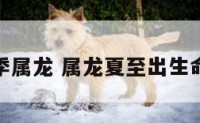 夏季属龙 属龙夏至出生命运