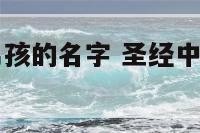 圣经中适合男孩的名字 圣经中适合男孩的名字和寓意