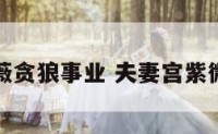 夫妻宫紫薇贪狼事业 夫妻宫紫微旺贪狼利