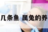 属兔人适合养几条鱼 属兔的养几条鱼比较好