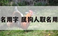 属狗人取名用字 属狗人取名用字有哪些