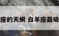 最吸引白羊座的天蝎 白羊座最吸引哪个星座
