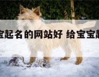 免费给宝宝起名的网站好 给宝宝起名字的网站