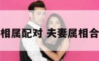 夫妻相属配对 夫妻属相合不合