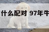 97年的牛和什么配对 97年牛和什么属相合适