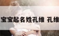给孔宝宝起名姓孔维 孔维取名